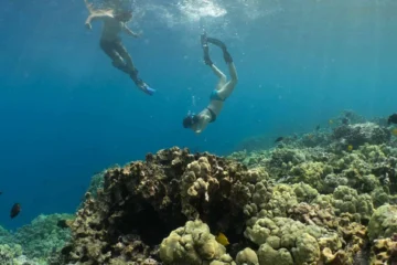 Kona Snorkeling in Pawai Bay Kailua-Kona, Big IslandKona Snorkeling in Pawai Bay · from $99Snorkel Kona’s Secluded Local Reef