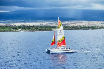 Kona Turtle Snorkel Sail with Lunch Kailua-Kona, Big IslandTurtle Snorkel Sail with Lunch · from $149.95Catamaran, Turtles, Lunch & Tropical Drinks