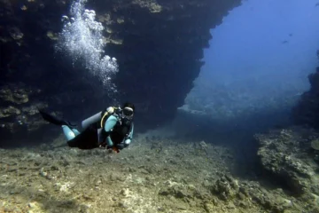 Lanai Cathedrals Wailuku, MauiLanai Cathedrals · from $289Scuba, Lava Tubes & Marine Life
