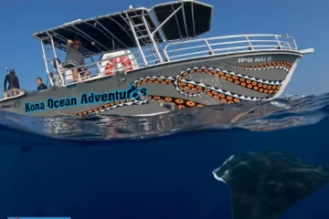Kailua-Kona, Big IslandLate Night Manta Ray Snorkel · from $210Light Board & Manta Ray Night Snorkel