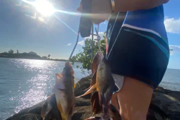 Malama Kai Fishing Experience North Shore, OahuMalama Kai Fishing Experience 路 from $99Catch Invasive Fish