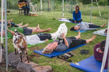 Maui Goat Yoga with Our Miniature Goats Kula, MauiMaui Goat Yoga · from $621 Hour 15 Minute Class