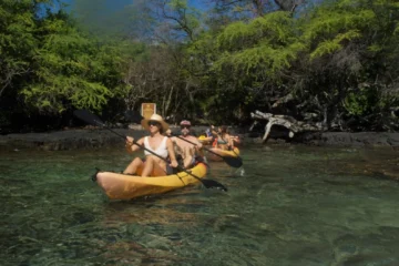 Kealakekua, Big IslandMidday Kealakekua Kayak · from $169.99Coral, Colorful Fish & Marine Life