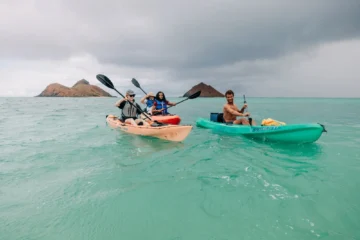 Mokulua Islands Guided Kayak Tour, Kailuas Twin Islands Kailua, OahuMokulua Islands Guided Kayak 路 from $205Twin Islands, Sea Turtles & Monk Seals