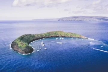 Molokini Crater Backwall & Carthaginian Wreck 2 Tank Lahaina, MauiMolokini Backwall & Carthaginian · from $255Advanced Diving, Wall Dive & 100-Foot Wreck