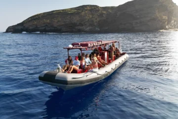 Molokini Crater & Turtle Town Snorkeling 3 Hours Kihei, MauiMolokini & Turtle Town Snorkel · from $179Crystal Waters & Hawaiian Green Turtles
