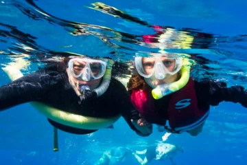 Ma'alaea, MauiMolokini & Turtle Arches · from $219.95Crystal-Clear Waters, Coral & Turtles