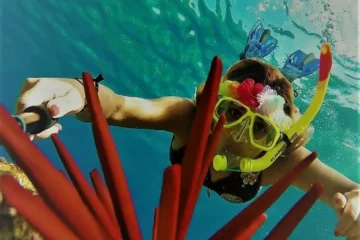 Ma'alaea, MauiMolokini/Turtle Town Snorkel · from $179Molokini Crater & Private Turtle Cove