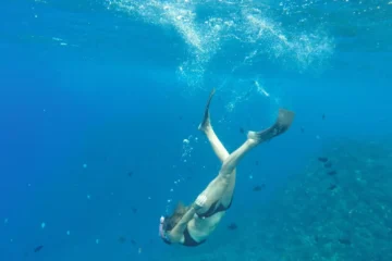 Morning Lana‘i Snorkel Tour Lahaina, MauiMorning Lana‘i Snorkel Tour · from $179Lanai Snorkeling, Lunch & Drinks