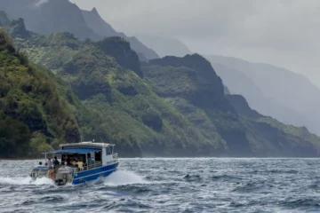 Morning Tour - Winter (Sightseeing Only) Hanalei, KauaiMorning Tour - Winter · from $289Sightseeing Tours Departing from Hanalei Bay