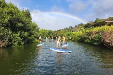 Nature & Turtle Tour OahuNature & Turtle Tour · from $14090-Minute SUP & Kayak Adventure