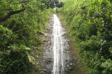 Nature and You OahuNature and You · from $119150-Foot Waterfall Adventure