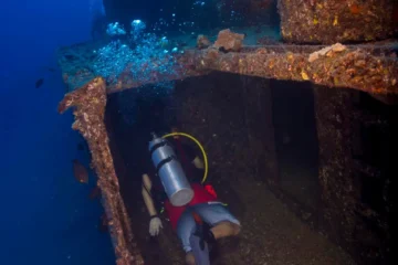 Night Dive — Tuesday & Friday Waikiki, OahuNight Dive — Tuesday & Friday · from $199Explore Honolulu's Reef After Dark