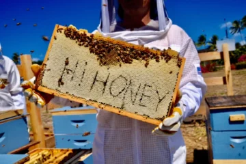 North Shore Apiary Tour & Honey Tasting North Shore, OahuApiary Tour & Honey Tasting 路 from $135Bees, Honey & North Shore Farm