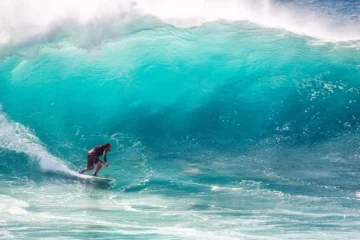 Oahu North Shore Circle Island Tour North Shore, OahuCircle Island Tour 路 from $189North Shore, Turtles & Local Food