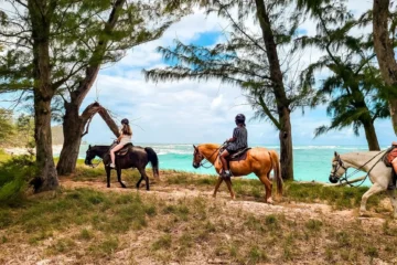 Oceanfront Sunshine Group Horseback Ride North Shore, OahuOceanfront Horseback Ride 路 from $158Oceanfront Trail on the Famous North Shore