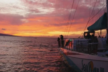Original Sunset Cocktail Cruise Lahaina, MauiOriginal Sunset Cocktail Cruise · from $127.31Sunset Views & Full Open Bar