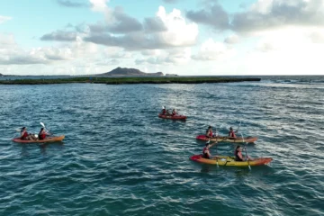 Popoia Island & Kailua Bay Guided Kayak Tour Kailua, OahuPopoia Island & Kailua Bay Kayak · from $145Sea Turtles, Snorkeling & Nature Walk