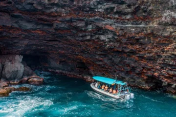 Kailua-Kona, Big IslandPremium Morning Snorkel · from $152Two Bays, One Snorkel Adventure