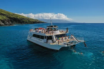 Pride of Maui Maxi Catamaran- Molokini & Turtle Town Snorkel Tour Wailuku, MauiMolokini & Turtle Town Snorkel · from $198Maxi Catamaran & 250+ Marine Species