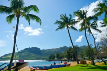 SUP Lessons Lihue, KauaiSUP Lessons · from $99Beginner-Friendly & Sheltered Bay