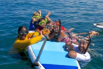 SUP "Turtle Town" Snorkel Kihei, MauiSUP "Turtle Town" Snorkel · from $169Hawaiian Green Sea Turtles & Ocean Life