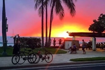 Sea : Eat & See the North Shore North Shore, OahuSea / Eat & See the North Shore 路 from $150Taste, Swim & Explore the North Shore