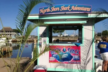 Shark Dive North Shore, OahuShark Dive 路 from $140150+ Feet of Shark Visibility
