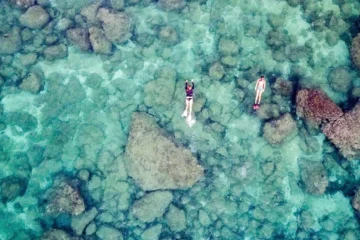 Sharks Cove Self-Guided Snorkel North Shore, OahuSharks Cove Self-Guided Snorkel · from $38Explore Sharks Cove