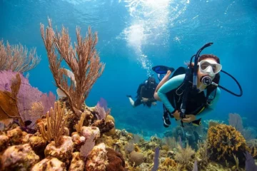 Waikiki, OahuShipwreck & Shallow Dive · from $249.99Wreck & Two Shallow Dives