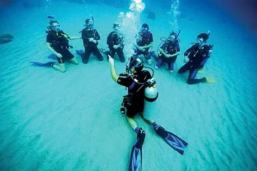 Shore Diving South Side Kauai Koloa, KauaiShore Diving South Side Kauai · from $145Green Sea Turtles, Moray Eels & Tropical Fish