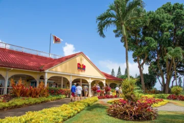 Sights & Bites Circle Island Tour OahuSights & Bites Circle Island Tour · from $149Local Treats & Iconic Sights
