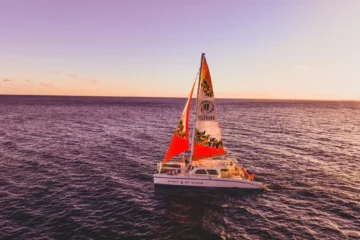 Spirit of Aloha Waikiki Sunset Cocktail Cruise Waikiki, OahuSpirit of Aloha Sunset Cruise · from $139.95Tropical Cocktails & Ocean Views