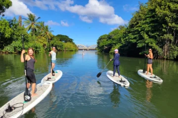 Sunrise Paddle North Shore, OahuSunrise Paddle 路 from $50 Peaceful Morning Paddle Down the River!