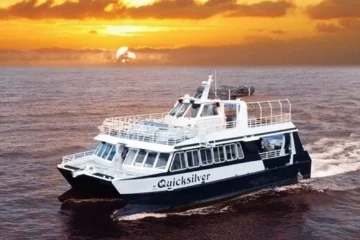 From Ma'alaea Harbor: Sunset Dinner Cruise Aboard the Quicksilver Wailuku, Maui Sunset Dinner Cruise · from $139.95Three-Course Dinner & Whale Watch