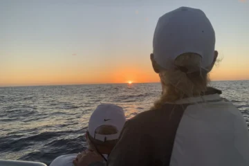 Kaiminani, Big IslandSunset Whale Watching Tour · from $105.30Sunset, Humpback Whales & Ocean Views