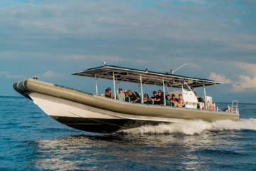 Super-Raft Whale Watch Kailua-Kona, Big IslandSuper-Raft Whale Watch 路 from $125Whale Sightings & Marine Naturalist