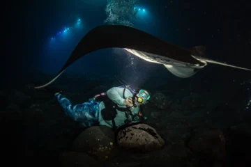 Kailua-Kona, Big IslandTwilight Reef & Manta Ray Dive · from $215Two Dives, Kona Sunset & Manta Rays