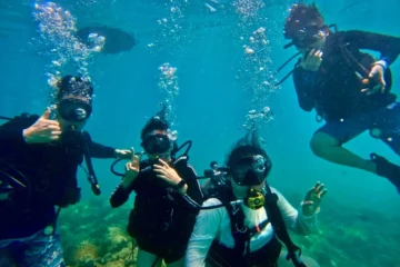 Try Scuba Diving Tour + Free Videos OahuTry Scuba Diving Tour · from $79Free GoPro Videos Included