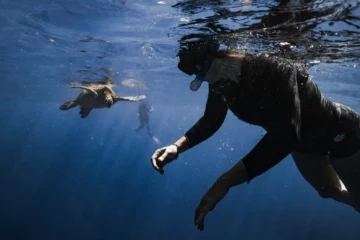 Turtle Canyon Snorkel Tour Waikiki, OahuTurtle Canyon Snorkel Tour · from $99Guided by Certified Divers