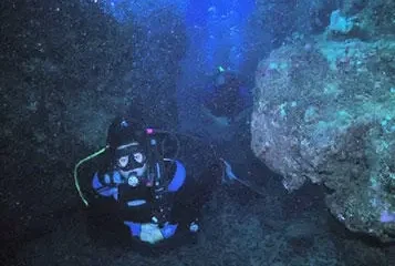 Twilight & Night Dive Poipu, KauaiTwilight & Night Dive · from $199Certified Divers Only