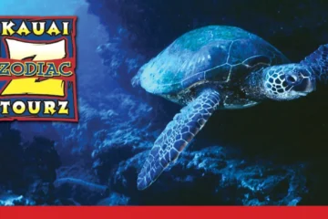 Kilauea, KauaiShore Snorkeling North - Anni · from $105.5Tropical Fish, Sea Urchins, and Sea Mammals!
