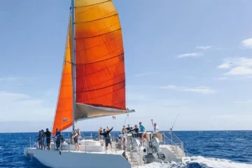 Waikiki, OahuWaikiki Afternoon Sail · from $5045-Foot Catamaran Sail