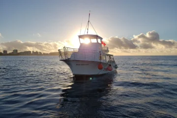 Waikiki Coast Cruise - BYOB Waikiki, OahuWaikiki Coast Cruise - BYOB · from $129 Turtles & Dolphins