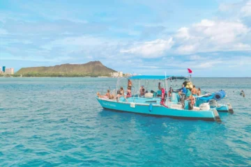 Waikiki Turtle Canyon Snorkel Honolulu, OahuWaikiki Turtle Canyon Snorkel · from $125Snorkel, Sea Turtles & Diamond Head Views
