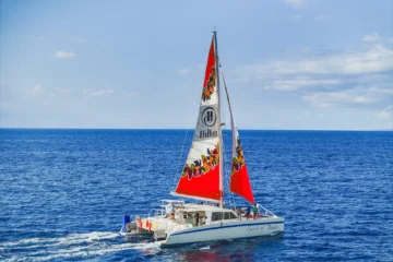 Waikoloa Village, Big IslandSnorkel Sail with Lunch · from $159.95Turtles, Reef Life & Tropical Cocktails