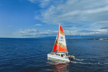 Waikoloa Turtle Snorkel Sail Waikoloa Village, Big IslandWaikoloa Turtle Snorkel Sail · from $129.95Sunset Cruise, Turtles & Tropical Drinks