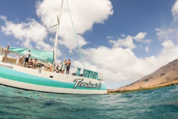 West Maui Adventure Snorkel Sail Lahaina, MauiWest Maui Snorkel Sail · from $144.95Catamaran, Reef Life & Open Bar