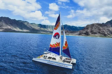 West Oahu Dolphin Watch and Turtle Snorkel Sail w: Lunch Waianae, OahuDolphin & Turtle Sail · from $149.95Wild Dolphins, Sea Turtles & Island Lunch