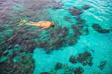 Whale / Dolphin Watch, Sea Cave & Captain Cook Kealakekua Bay Reef Snorkel Speed Boat Adventure! Kailua-Kona, Big IslandCaptain Cook Reef Snorkel · from $110Captain Cook, Coral Reefs & Sea Caves